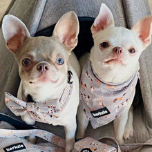 Load image into Gallery viewer, Bow Tie - Toronto