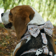 Load image into Gallery viewer, Bow Tie - Toronto