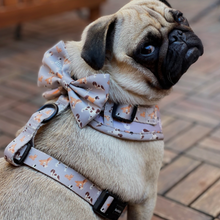 Load image into Gallery viewer, Bow Tie - Toronto