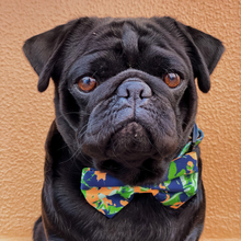 Load image into Gallery viewer, Bow Tie - Bogota