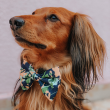 Load image into Gallery viewer, Bow Tie - Bogota