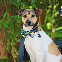 Load image into Gallery viewer, Bow Tie - Bogota