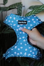 Load image into Gallery viewer, Adjustable Harness - Nice