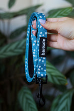 Load image into Gallery viewer, Leash - Nice