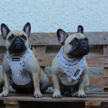 Load image into Gallery viewer, Bandana - Toronto